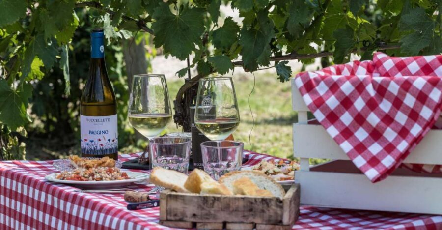Castiglion Fiorentino: Wine Flight & Charcuterie Board - Garden time, bocce ball, and how to pace yourself