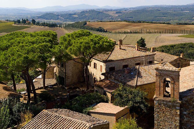 Discover Montalcino through its best productions: Brunello & Saffron!! - Starting at 10:00 from Montalcino’s Via della Circonvallazione