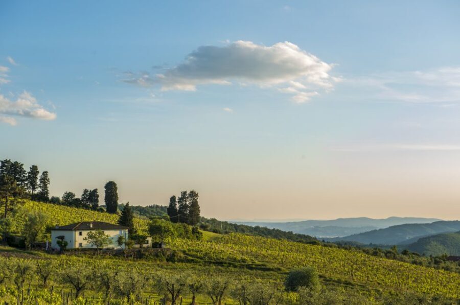 Exclusive Chianti Rufina Half-Day with lunch from Florence - Key highlights to know before you go
