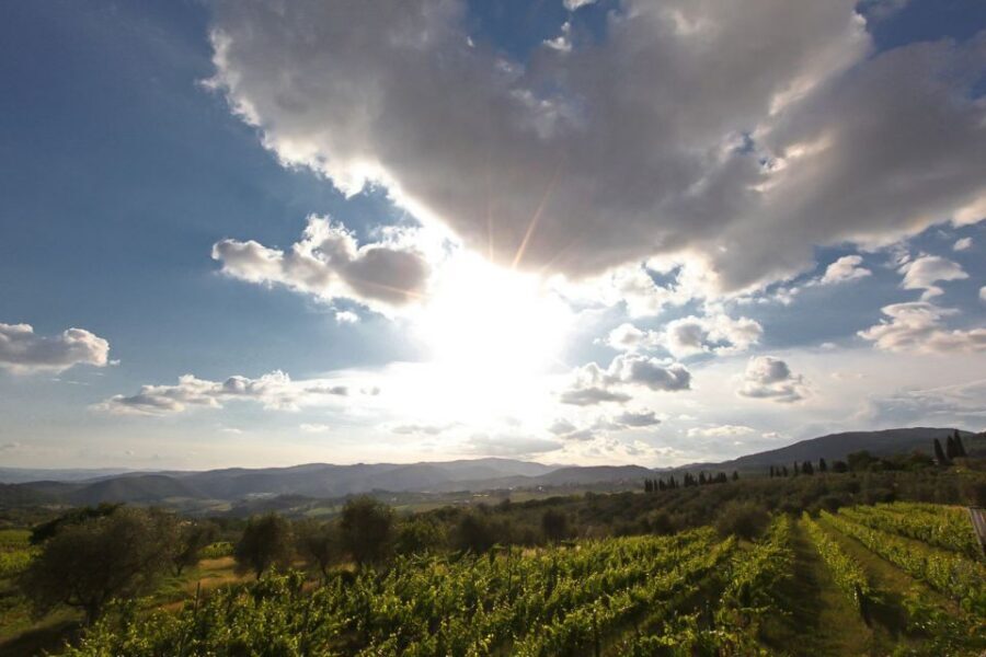 Exclusive Chianti Rufina Half-Day with lunch from Florence - Should You Book This Chianti Rufina Half-Day Tour?