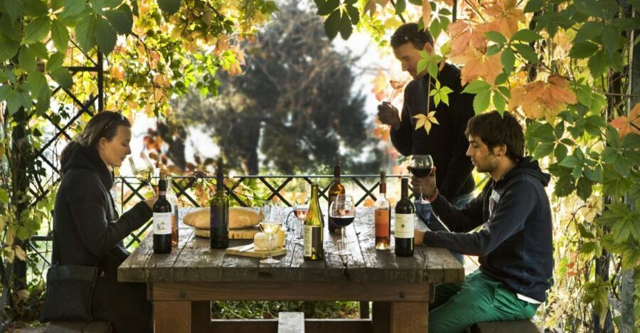 Exclusive Chianti Rufina Half-Day with lunch from Florence - Tenuta di Grignano: Your First Winery Stop and Tasting Window
