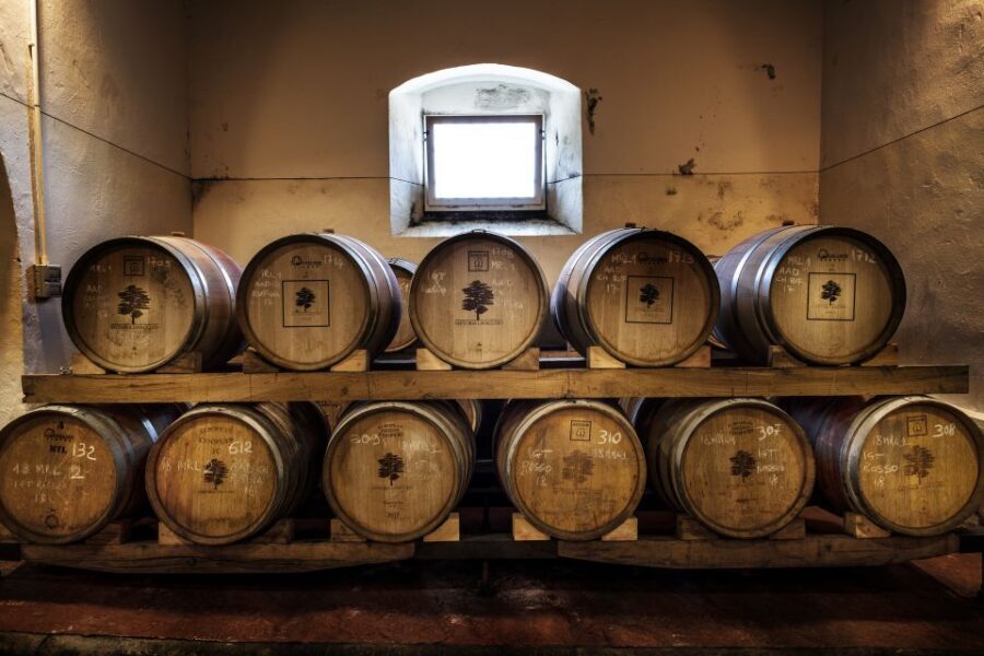 Exclusive Chianti Rufina Half-Day with lunch from Florence - Olive Oil Tasting: The Palate Lesson Most People Skip
