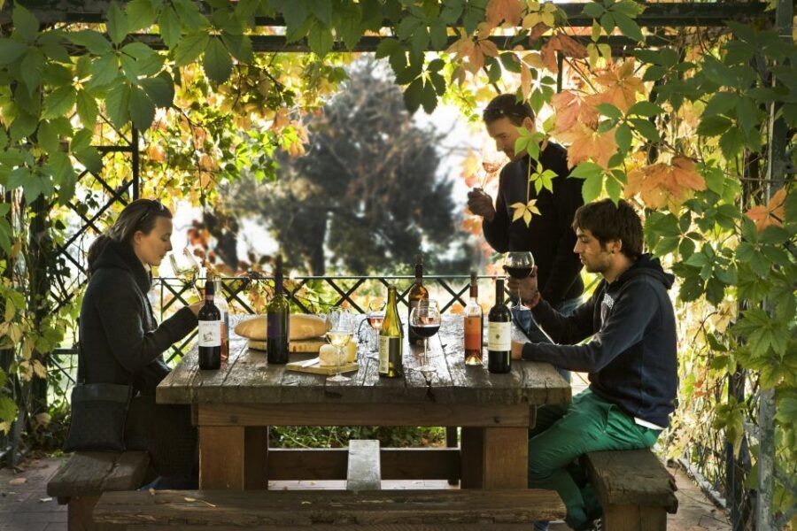 Exclusive Chianti Rufina Half-Day with lunch from Florence - What the Rufina Wines Teach You (Beyond the Pour)
