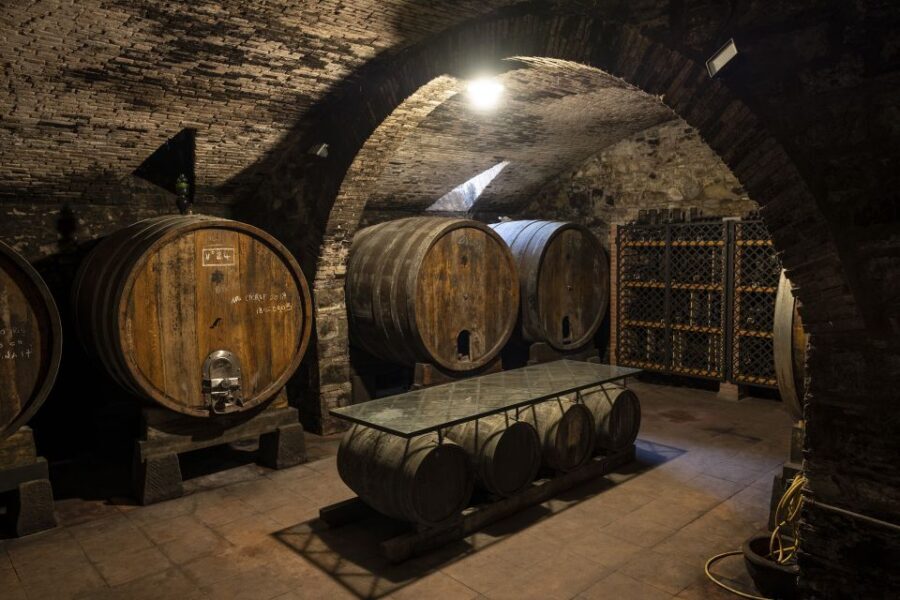 Exclusive Chianti Rufina Half-Day with lunch from Florence - Practical Notes: Timing, Pickup, and What to Pack