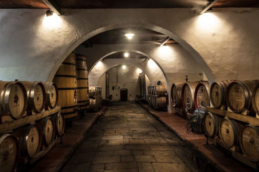 Exclusive Chianti Rufina Half-Day with lunch from Florence - Private Half-Day Plans From Florence: The Real Value