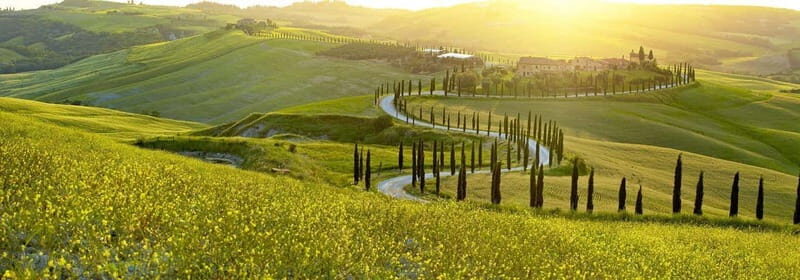 From Firenze | Chianti day tour in a classic car - Key moments that make this Chianti day tour work
