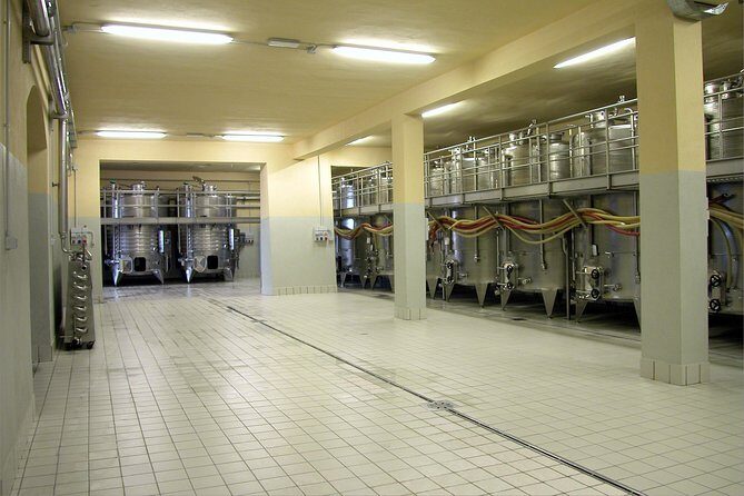Wine tasting and guided tour of the cellar - Complete Tasting: 4 Wines Plus Vinsanto DOC with Cantucci