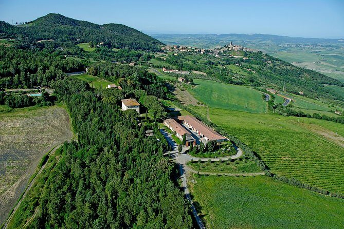 Wine tasting and guided tour of the cellar - Paolo’s Guidance and the Views: Why This Feels Personal