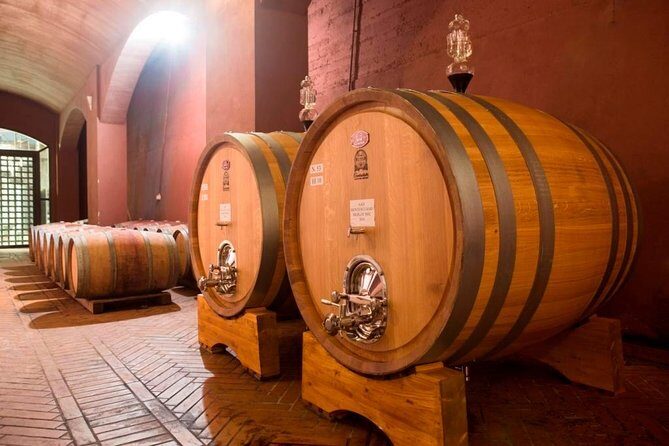 Wine tasting and guided tour of the cellar - How the 1-Hour Experience Flows (Tour + Tasting Pace)
