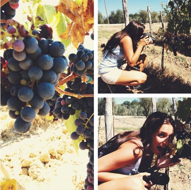 YOUR HONEYMOON IN TUSCANY: Private Chianti Wine Tasting Tour - Key highlights you’ll actually feel during the day