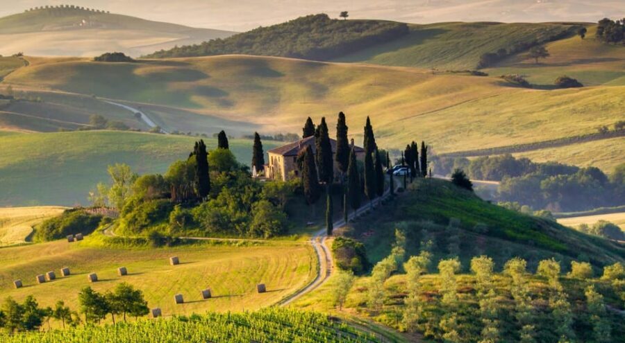 YOUR HONEYMOON IN TUSCANY: Private Chianti Wine Tasting Tour - The Chianti winery lunch: food first, then wine with context