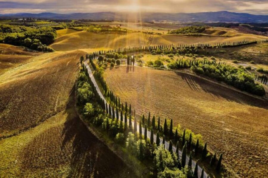 YOUR HONEYMOON IN TUSCANY: Private Chianti Wine Tasting Tour - Piazzale Michelangelo: Florence’s view, timed by conditions