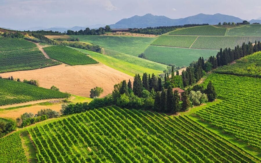 YOUR HONEYMOON IN TUSCANY: Private Chianti Wine Tasting Tour - San Gimignano’s Torre Grossa and the gelato timing that helps