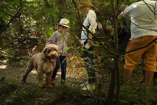 Truffle Picking Experience with 3 Course Meal in Chianti hills - Key Points You’ll Care About